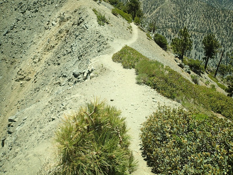 2014 Mt Baldy Cali 112.JPG - Summit Mt San Antonio (Mt Baldy) California